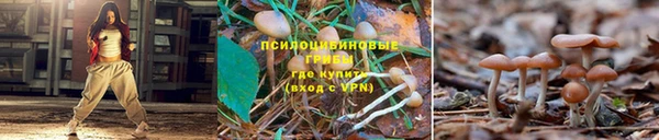 молекула духа Дмитровск