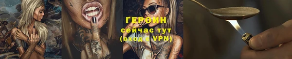 мдпв Дмитриев