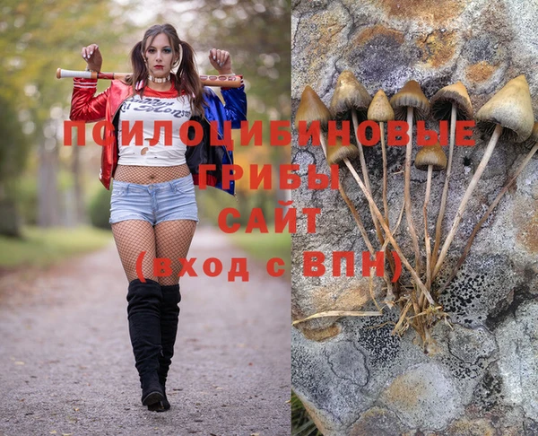 каннабис Дмитров