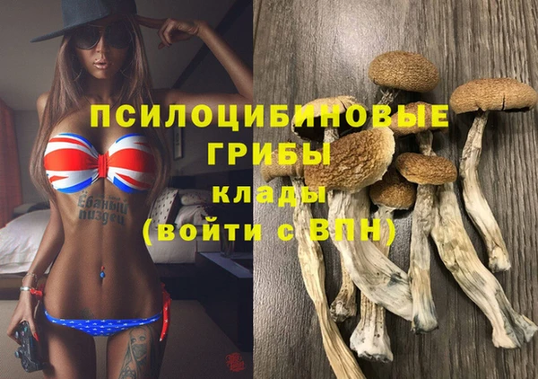 молекула духа Дмитровск