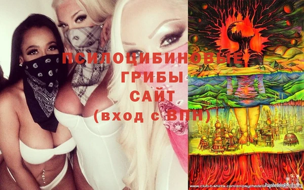 мдпв Дмитриев