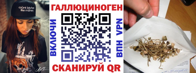 Галлюциногенные грибы мухоморы  Иланский 